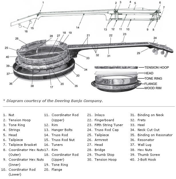 Parts Of A Banjo Diagram